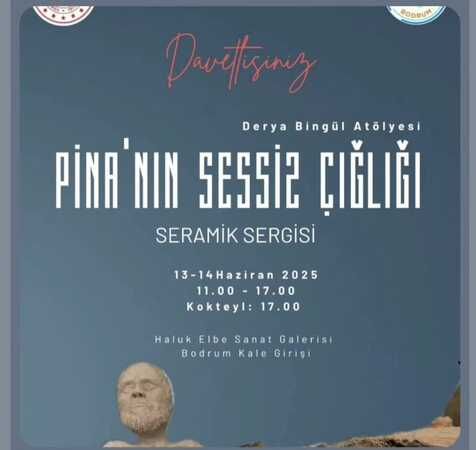 derya-bingul-atolyesinden-pinanin-sessiz-cigligi-seramik-sergisi-bodrumda-sanatseverlerle-bulusuyor-sjhtOT8h.jpeg