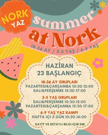 nork-yaz-okulu-cocuklar-icin-kapilarini-aciyor-yrjmrn7N.jpeg
